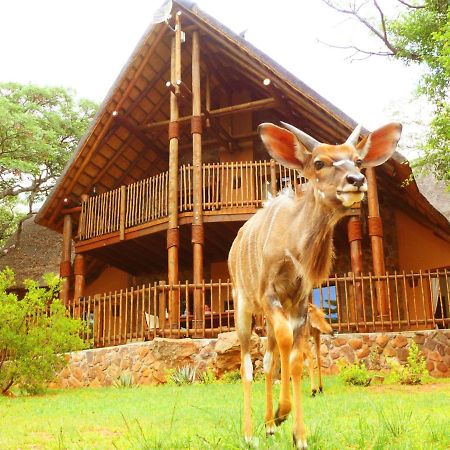 Kololo Game Reserve Vaalwater Exteriör bild