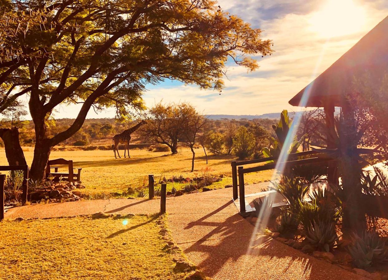 Kololo Game Reserve Vaalwater Exteriör bild