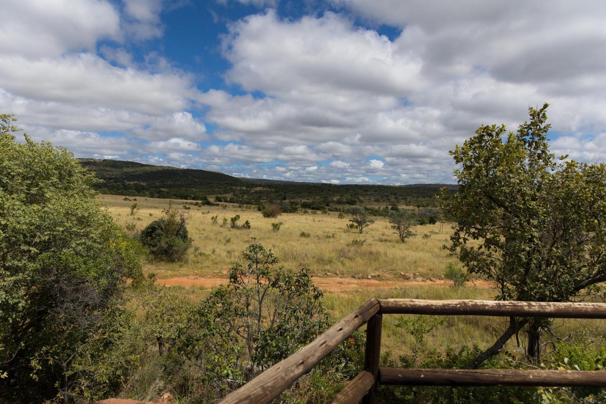 Kololo Game Reserve Vaalwater Exteriör bild
