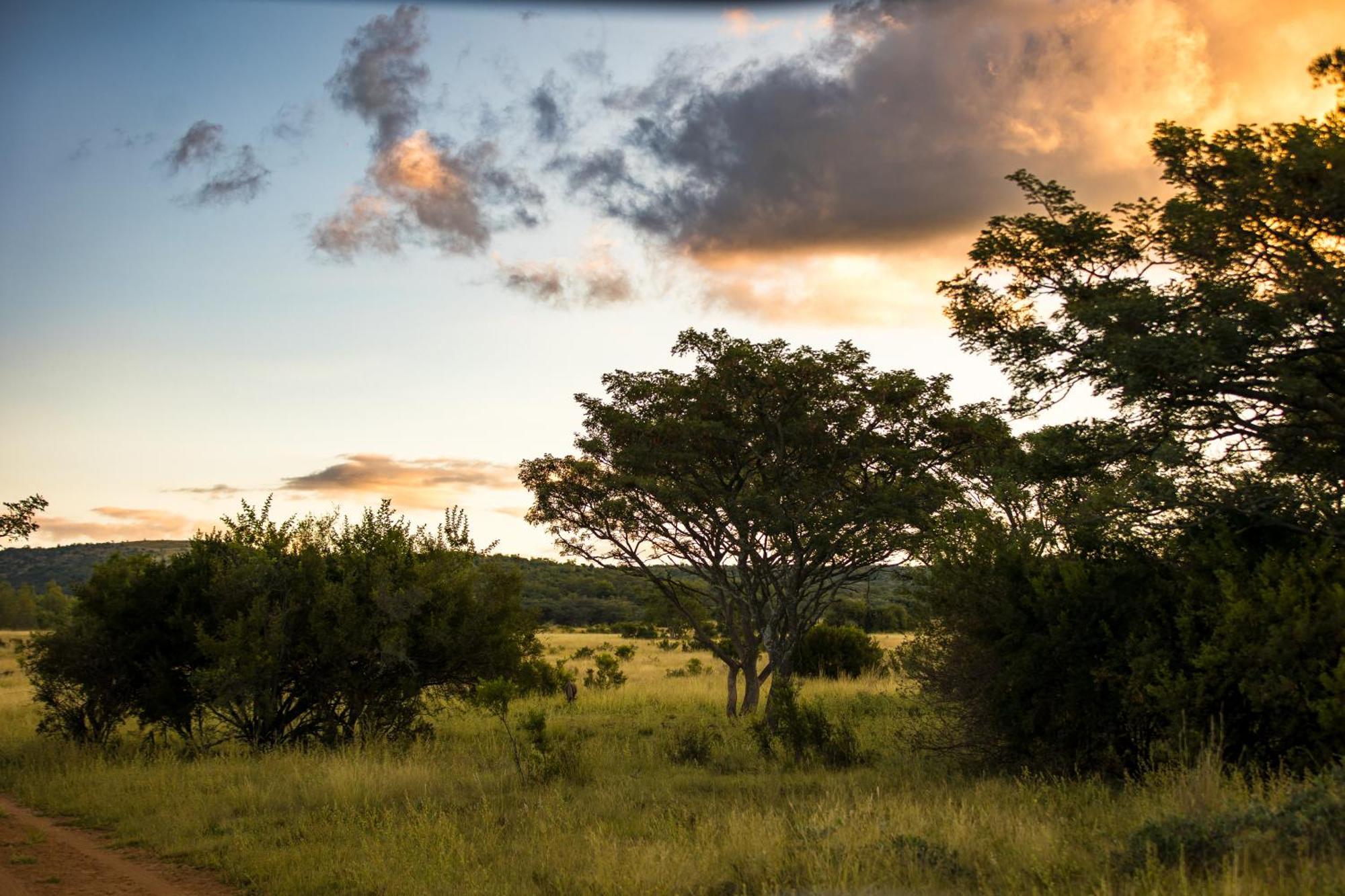 Kololo Game Reserve Vaalwater Exteriör bild