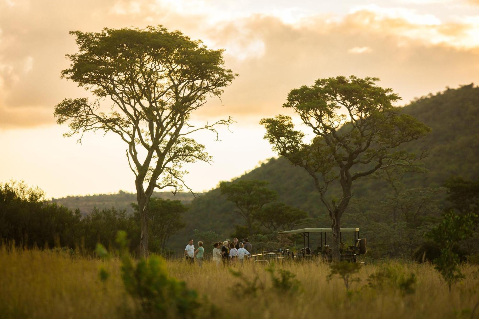 Kololo Game Reserve Vaalwater Exteriör bild