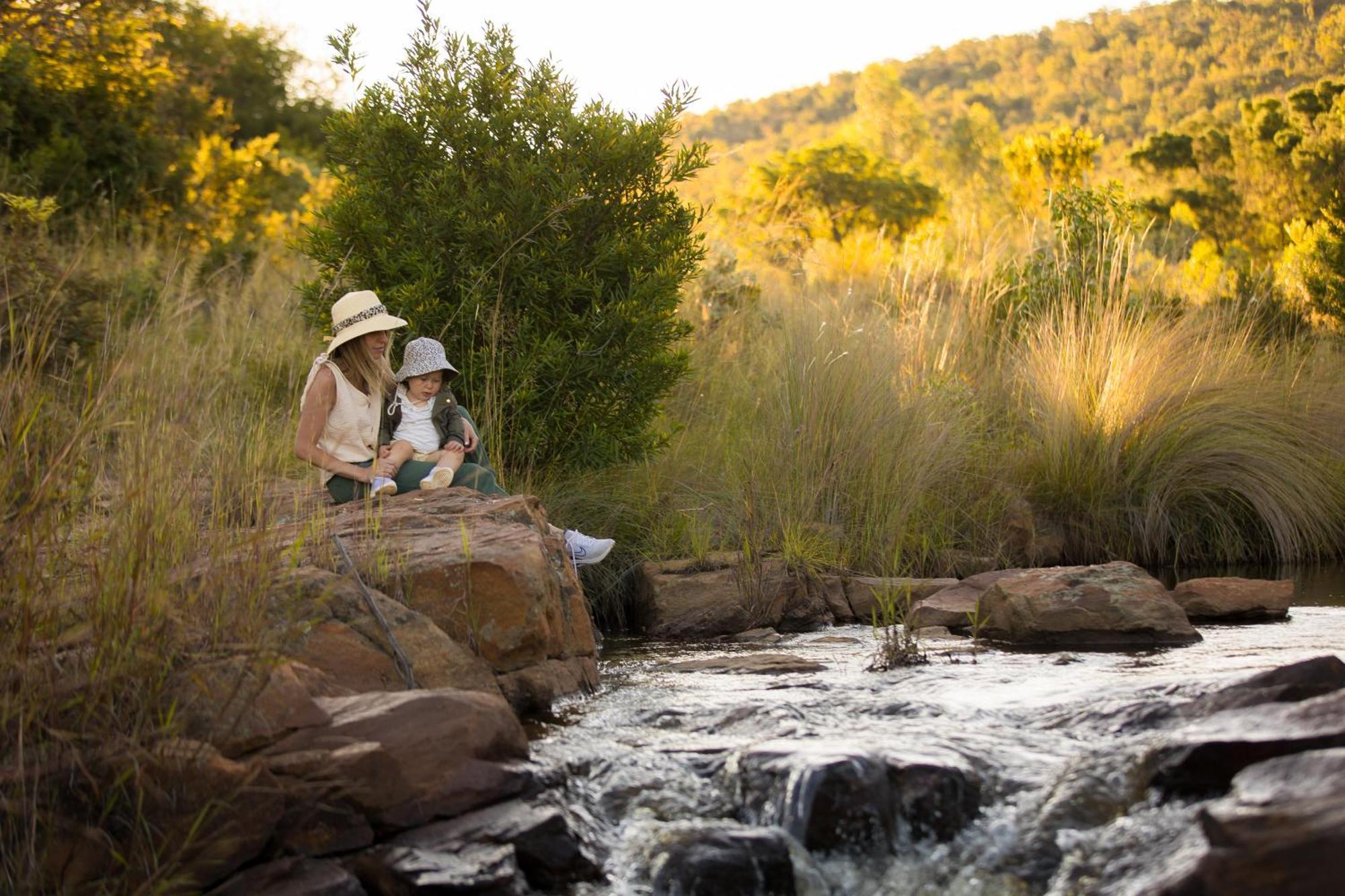 Kololo Game Reserve Vaalwater Exteriör bild