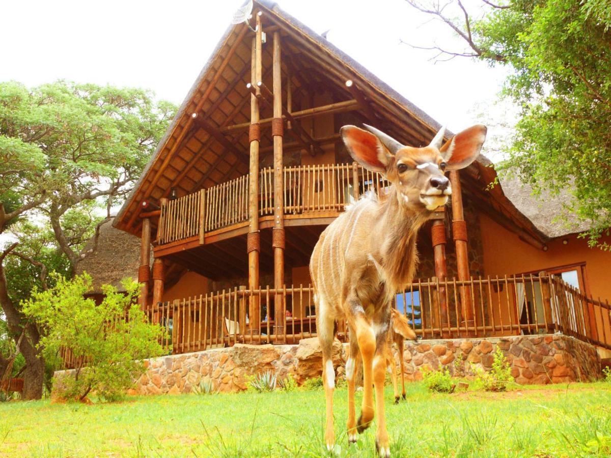 Kololo Game Reserve Vaalwater Exteriör bild